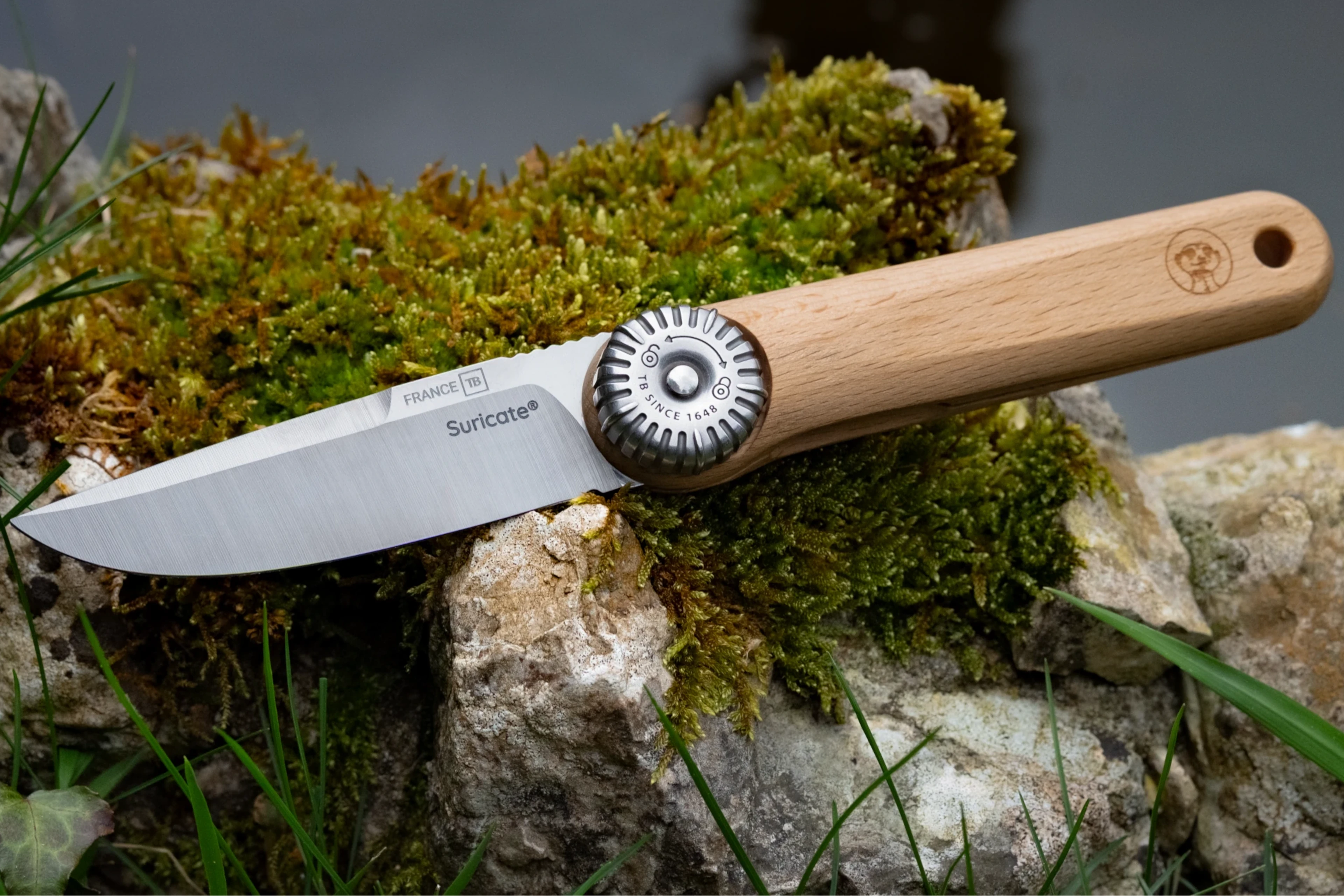 couteau pliant suricate TB1648 ouvert sur roche avec mousse