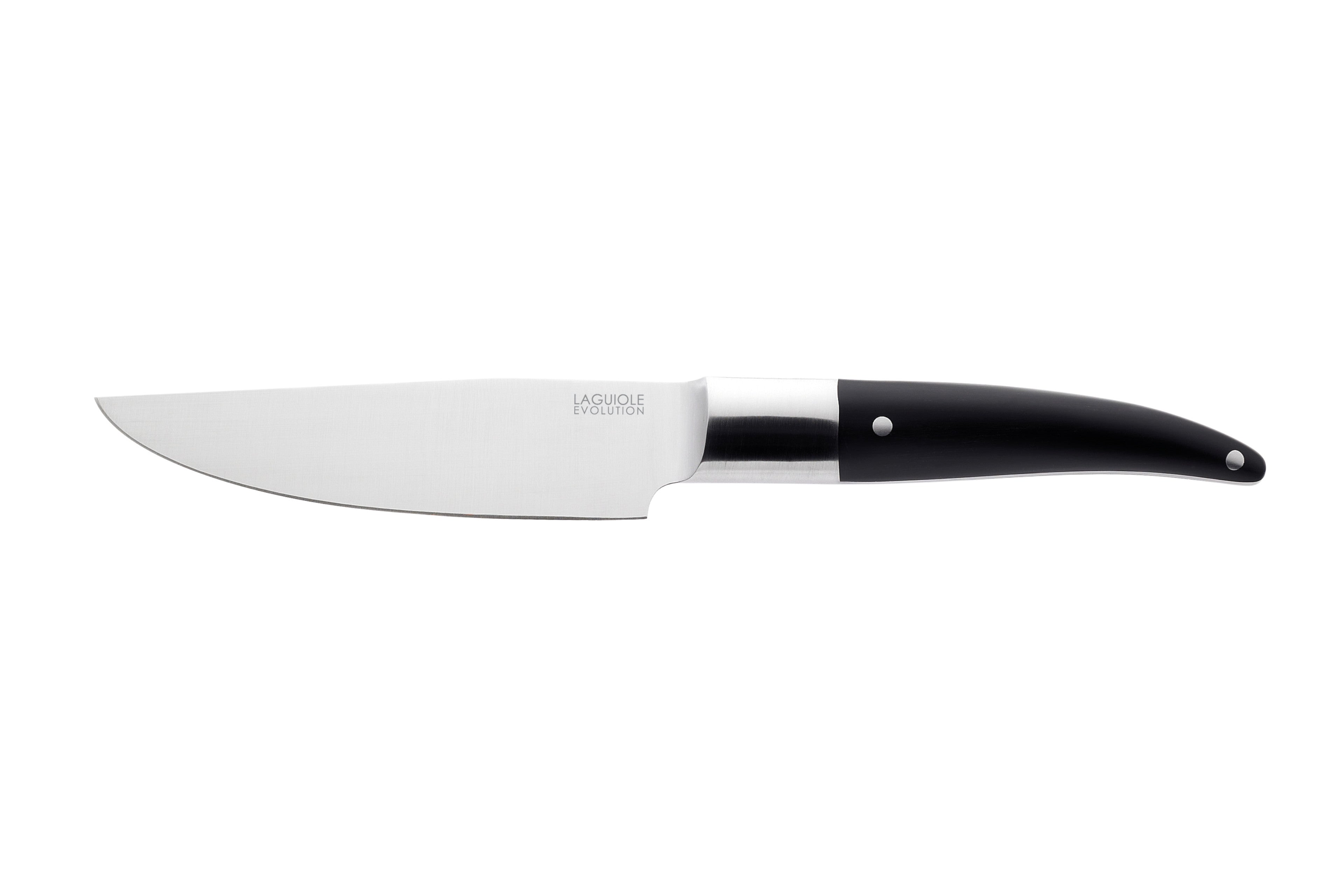 Couteau de cuisine Laguiole Expression POM